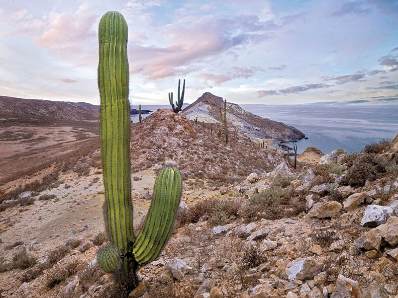 corintia_island-colors-baja