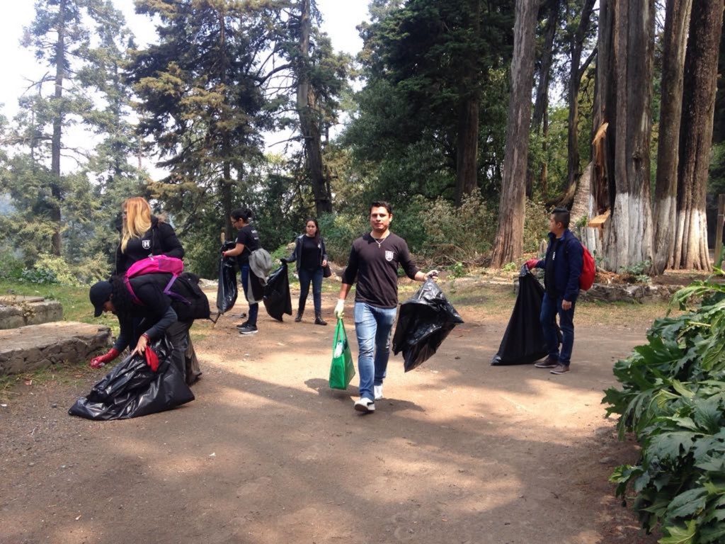 BOSQUE 4