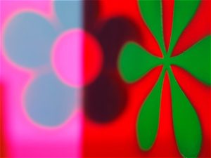 WaggleDance048