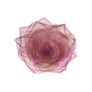 Dahlia Munchen B