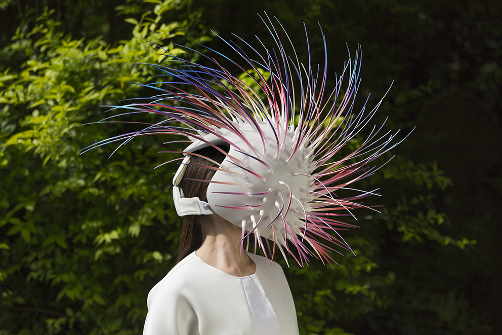 FIELD_QUASAR__0184