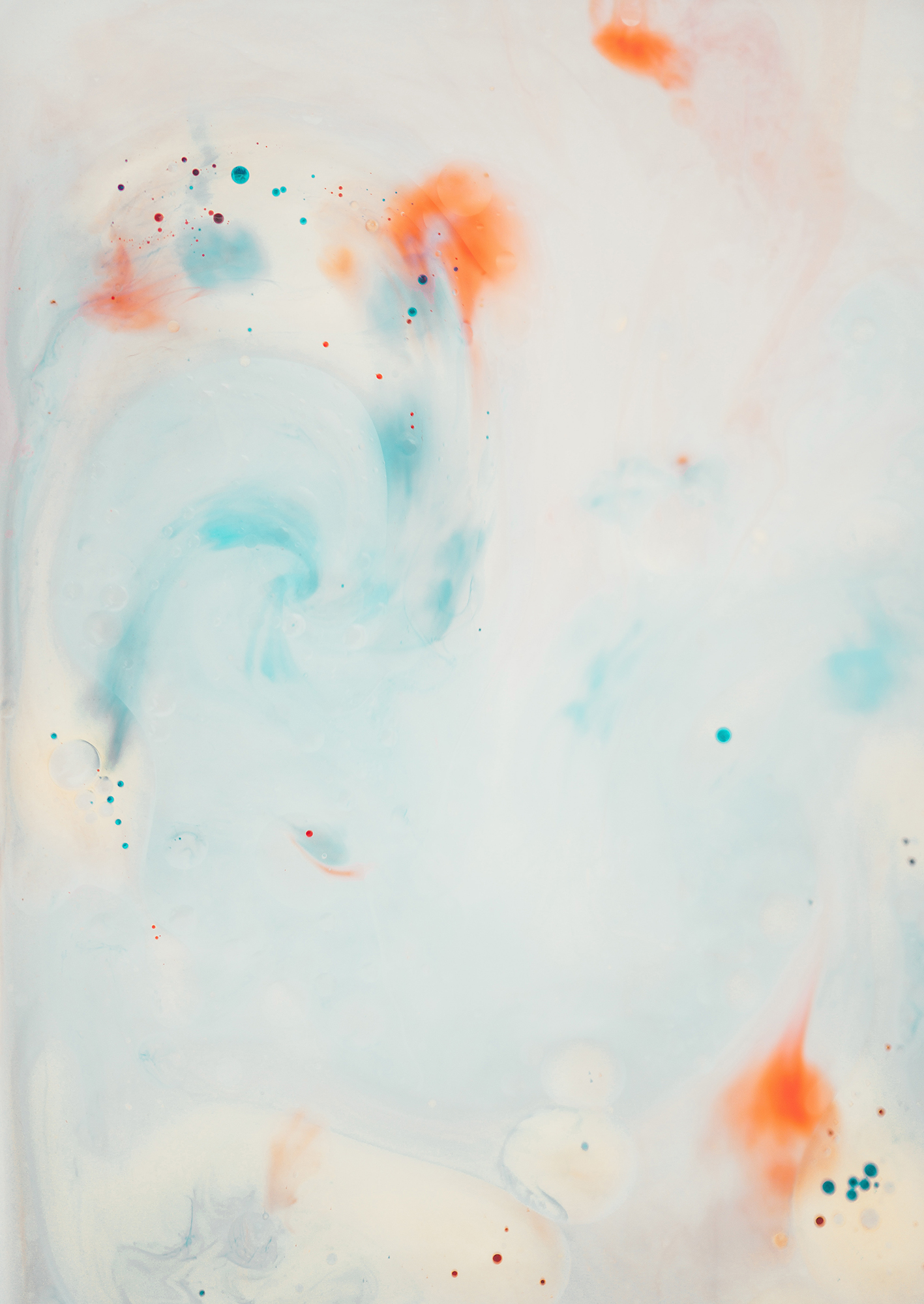 annie-spratt-0ZPSX_mQ3xI-unsplash copy