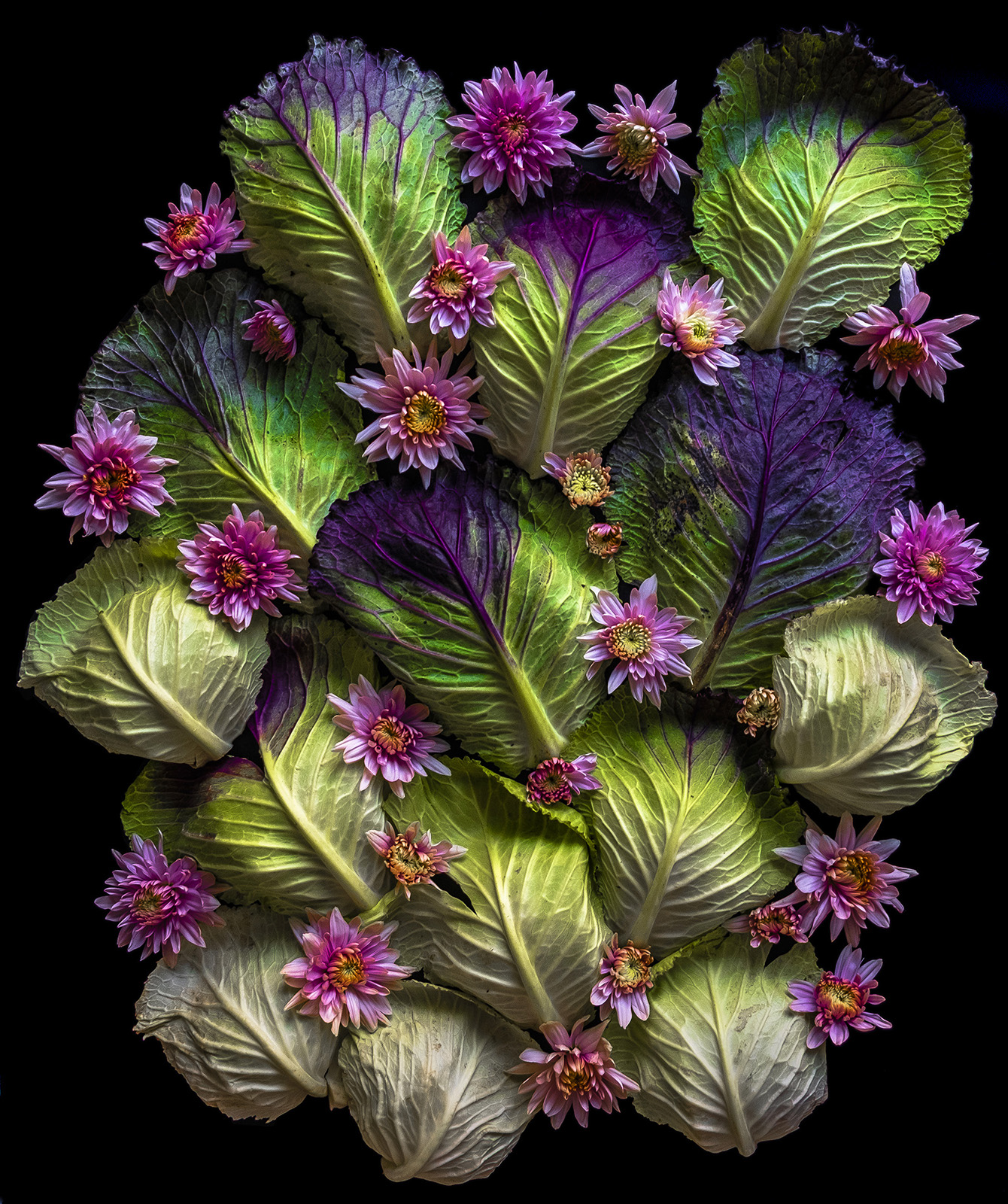 _DSCF6663_2020_Pigment_Print_2400x2100 copy