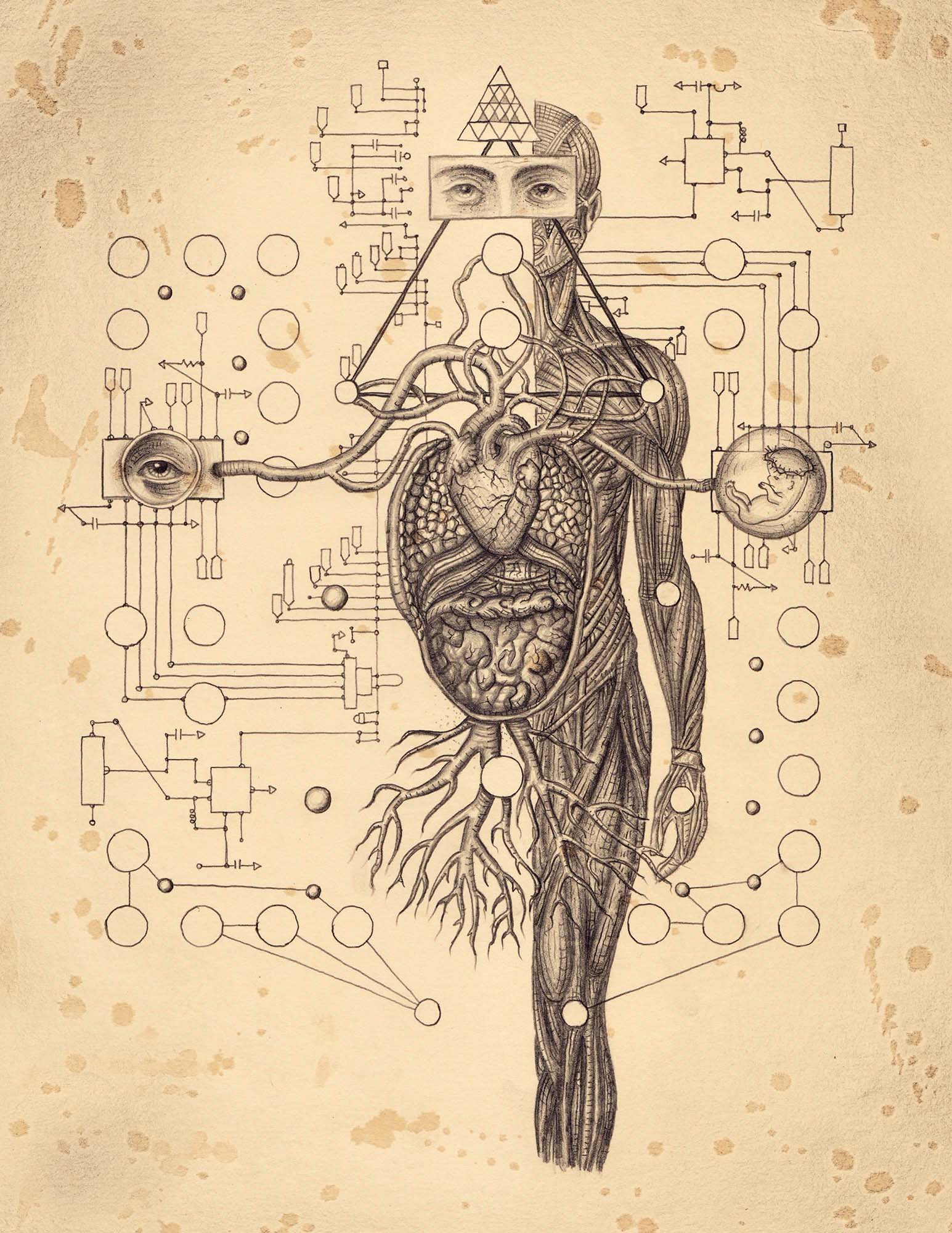 14Self-AwareSystem