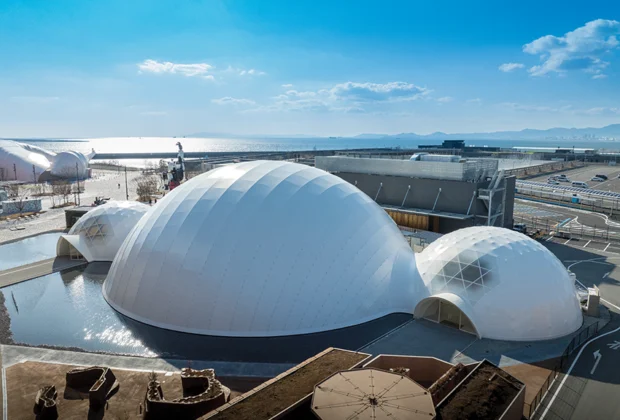 Shigeru Ban Blue Ocean Dome: arquitectura sostenible en la Expo Osaka 2025.
