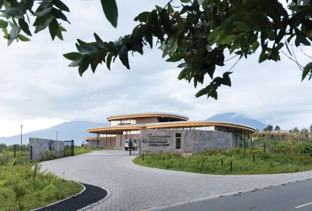 Fachada de piedra volcánica del Campus Ellen DeGeneres de la Dian Fossey Gorilla Fund en Ruanda, diseñado por MASS.