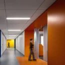 veracidad en el derecho laboral
